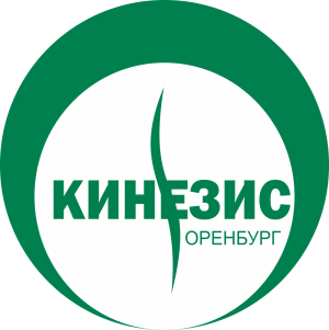 Медицинский оздоровительный центр «Кинезис»  - Город Оренбург